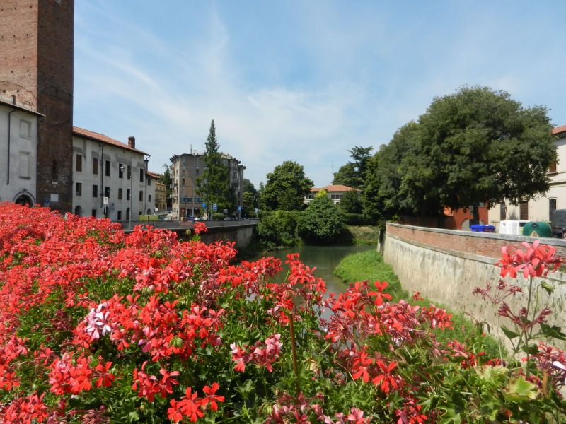Vicenza in fiore, anche d‘inverno