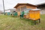 Inaugurazione apiario didattico urbano al mercato ortofrutticolo