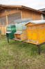 Inaugurazione apiario didattico urbano al mercato ortofrutticolo