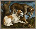 Jacopo Bassano, Ritratto di due cani