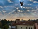 @Chiara Bezze - "In volo su Vicenza"
