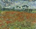 Vincent van Gogh, Campo di papaveri, 1890 olio su tela, cm 73 x 91,5 L'Aia, Gemeentemuseum prestito del Cultural Heritage Agency of the Netherlands