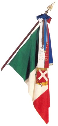 Bandiera di Vicenza